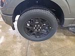 2025 Ford F-150 SuperCrew Cab 4x4 Pickup for sale #S3304 - photo 25
