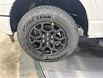 2025 Ford F-150 SuperCrew Cab 4x4 Pickup for sale #S3323 - photo 29