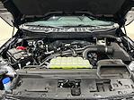 2025 Ford F-150 SuperCrew Cab 4x4 Pickup for sale #S3416 - photo 32