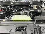 2025 Ford F-150 Regular Cab 4x4 Pickup for sale #S3661F - photo 20