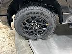 2025 Ford F-150 SuperCrew Cab 4x4 Pickup for sale #S3894 - photo 31