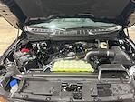 New 2025 Ford F-150 XLT SuperCrew Cab for sale #S4024 - photo 33