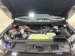 2025 Ford F-150 SuperCrew Cab 4WD Pickup for sale #S4219 - photo 34