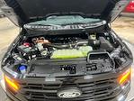 2025 Ford F-150 SuperCrew Cab 4WD Pickup for sale #S4402 - photo 24