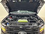 New 2025 Ford F-150 XLT SuperCrew Cab for sale #S4617 - photo 33