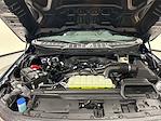 New 2025 Ford F-150 STX SuperCrew Cab for sale #S8011 - photo 26