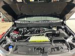 New 2025 Ford F-150 Tremor SuperCrew Cab for sale #S8141 - photo 34