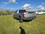 2022 Ford F-250 Crew Cab 4WD Pickup for sale #S91040 - photo 2