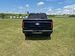 2025 Ford F-150 SuperCrew Cab 4x4 Pickup for sale #S9149 - photo 4