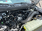 2025 Ford F-150 Regular Cab 4x4 Pickup for sale #S9150 - photo 11