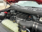 2025 Ford F-150 Regular Cab 4x4 Pickup for sale #S9248 - photo 13