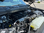 2025 Ford F-150 SuperCrew Cab 4x4 Pickup for sale #S9274 - photo 13