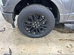 2025 Ford F-150 SuperCrew Cab 4x4 Pickup for sale #S9310 - photo 33