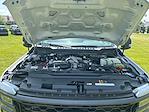 2025 Ford F-250 Crew Cab 4x4 Pickup for sale #S9344 - photo 28