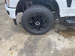 2025 Ford F-350 Regular Cab SRW 4WD Pickup for sale #S9421 - photo 28