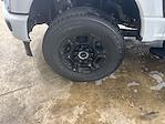 2025 Ford F-350 Regular Cab SRW 4x4 Pickup for sale #S9447 - photo 27