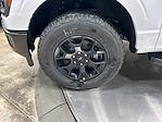 2025 Ford F-150 SuperCrew Cab 4x4 Pickup for sale #S9503 - photo 28