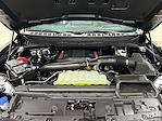 2025 Ford F-150 SuperCrew Cab 4x4 Pickup for sale #S9533 - photo 34