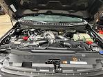 New 2025 Ford F-250 Crew Cab 4x4 Pickup for sale #S9898 - photo 32