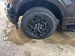 2025 Ford F-150 SuperCrew Cab 4x4 Pickup for sale #S9933 - photo 34