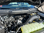 2025 Ford F-150 Regular Cab 4WD Pickup for sale #S9975 - photo 10