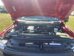 2026 Ford F-350 Crew Cab SRW 4WD Pickup for sale #T4050 - photo 30