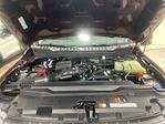 2026 Ford F-350 Crew Cab SRW 4WD Pickup for sale #T4252 - photo 34