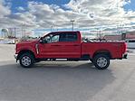 New 2026 Ford F-350 XLT Crew Cab for sale #T4953 - photo 8