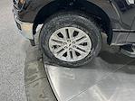 New 2026 Ford F-150 XLT SuperCrew Cab for sale #T8026 - photo 32