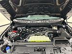New 2026 Ford F-150 STX SuperCrew Cab for sale #T8220 - photo 27