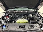 New 2026 Ford F-150 XLT SuperCrew Cab for sale #T8263 - photo 30