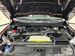 New 2026 Ford F-150 XLT SuperCrew Cab for sale #T8290 - photo 29