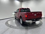 New 2026 Ford F-150 XLT SuperCrew Cab for sale #T8290 - photo 7