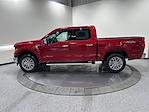 New 2026 Ford F-150 XLT SuperCrew Cab for sale #T8290 - photo 8