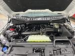 2026 Ford F-150 SuperCrew Cab 4WD Pickup for sale #T8416 - photo 15