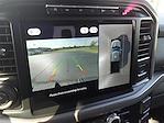 New 2024 Ford F-150 XLT SuperCrew Cab 4WD Pickup for sale #NTE74091 - photo 12