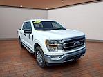 2023 Ford F-150 SuperCrew Cab 4WD Pickup for sale #PTE24238 - photo 3