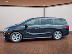 Used 2019 Honda Odyssey EX-L Minivan for sale #S131137 - photo 6