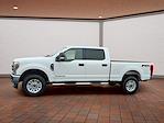Used 2019 Ford F-250 XLT Crew Cab for sale #TD48061 - photo 6