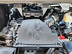 2025 Mercedes-Benz Sprinter 2500 Standard Roof RWD Passenger Van for sale #TST230875 - photo 21