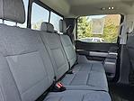 2024 Ford F-150 SuperCrew Cab 4x4 Pickup for sale #240868 - photo 25
