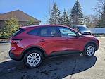 2025 Ford Escape AWD SUV for sale #250255 - photo 7