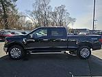 2025 Ford F-150 SuperCrew Cab 4x4 Pickup for sale #250311 - photo 3