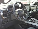 2025 Ford F-150 SuperCrew Cab 4x4 Pickup for sale #250341 - photo 10