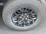 2025 Ford F-150 SuperCrew Cab 4x4 Pickup for sale #250345 - photo 36