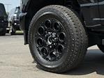 2025 Ford F-350 Crew Cab SRW 4x4 Pickup for sale #250369A - photo 51