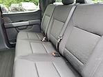2025 Ford F-150 SuperCrew Cab 4x4 Pickup for sale #250421 - photo 30