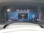 2025 Ford F-150 SuperCrew Cab 4x4 Pickup for sale #250521 - photo 11