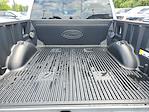 2025 Ford F-150 SuperCrew Cab 4x4 Pickup for sale #250552 - photo 30