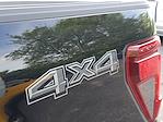 2025 Ford F-150 SuperCrew Cab 4x4 Pickup for sale #250555 - photo 35